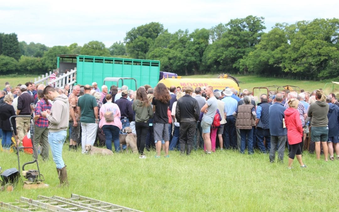 West Meon Farm Auction Catalogue