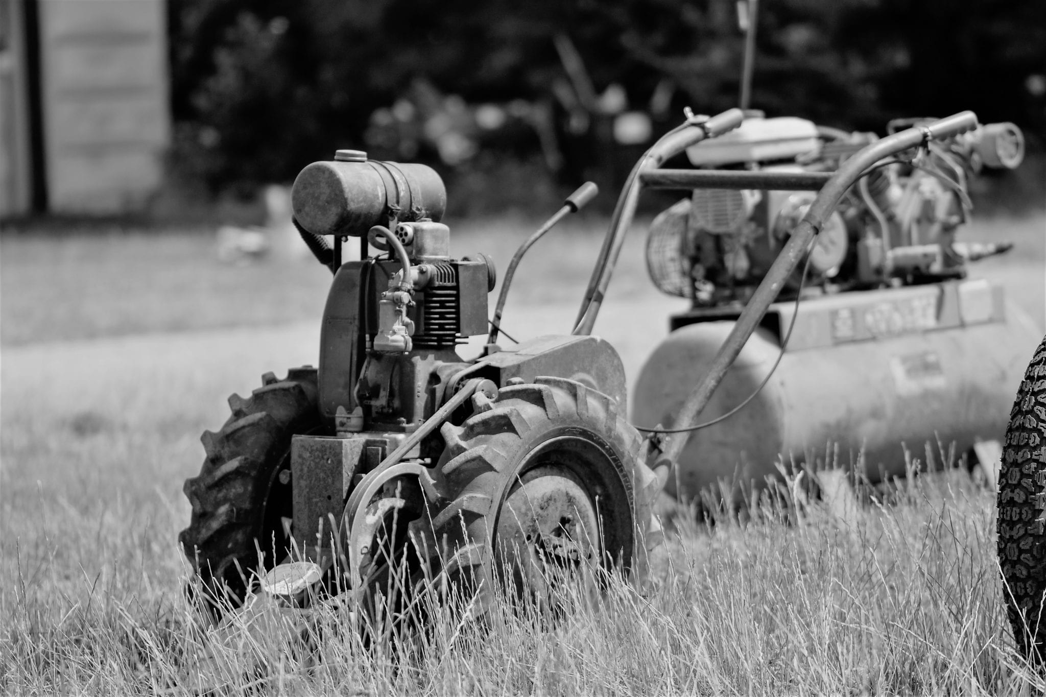 July 7 West Meon 2 Copy