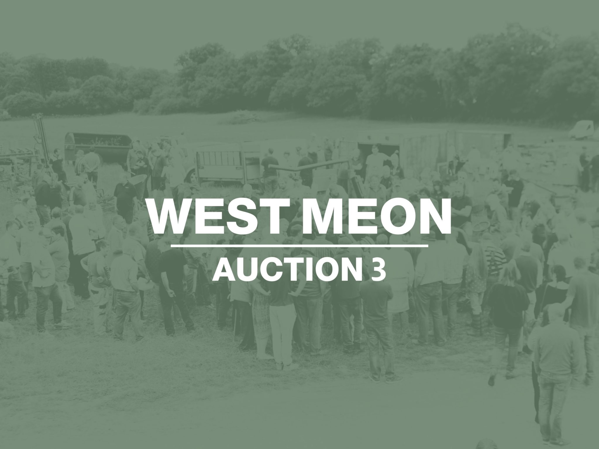 West Meon: Final Dispersal for J. Parsons Following the Sale at Wetwood Farm of Approx 50 Lots 7 Copy of Copy of Copy of Timed Auction Scooters 5 scaled