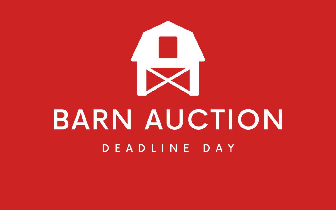 Barn Auction – Deadline Day