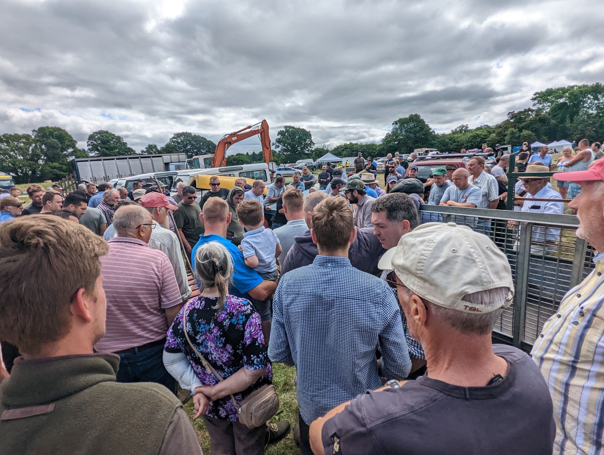 290863877 1135544517008126 8788597422209074406 n Wellers Auctions