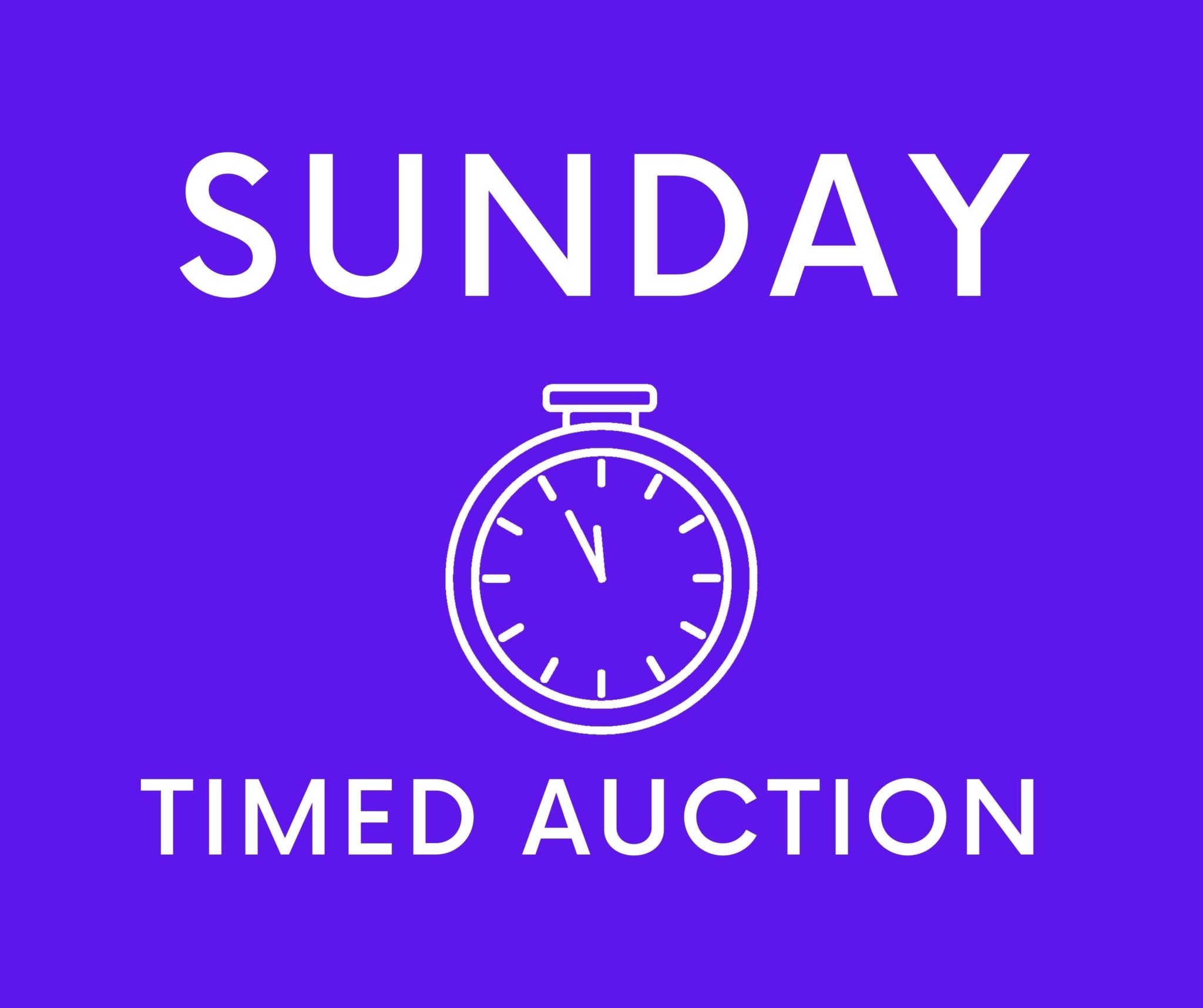Copy of Timed Auction scaled Wellers Auctions