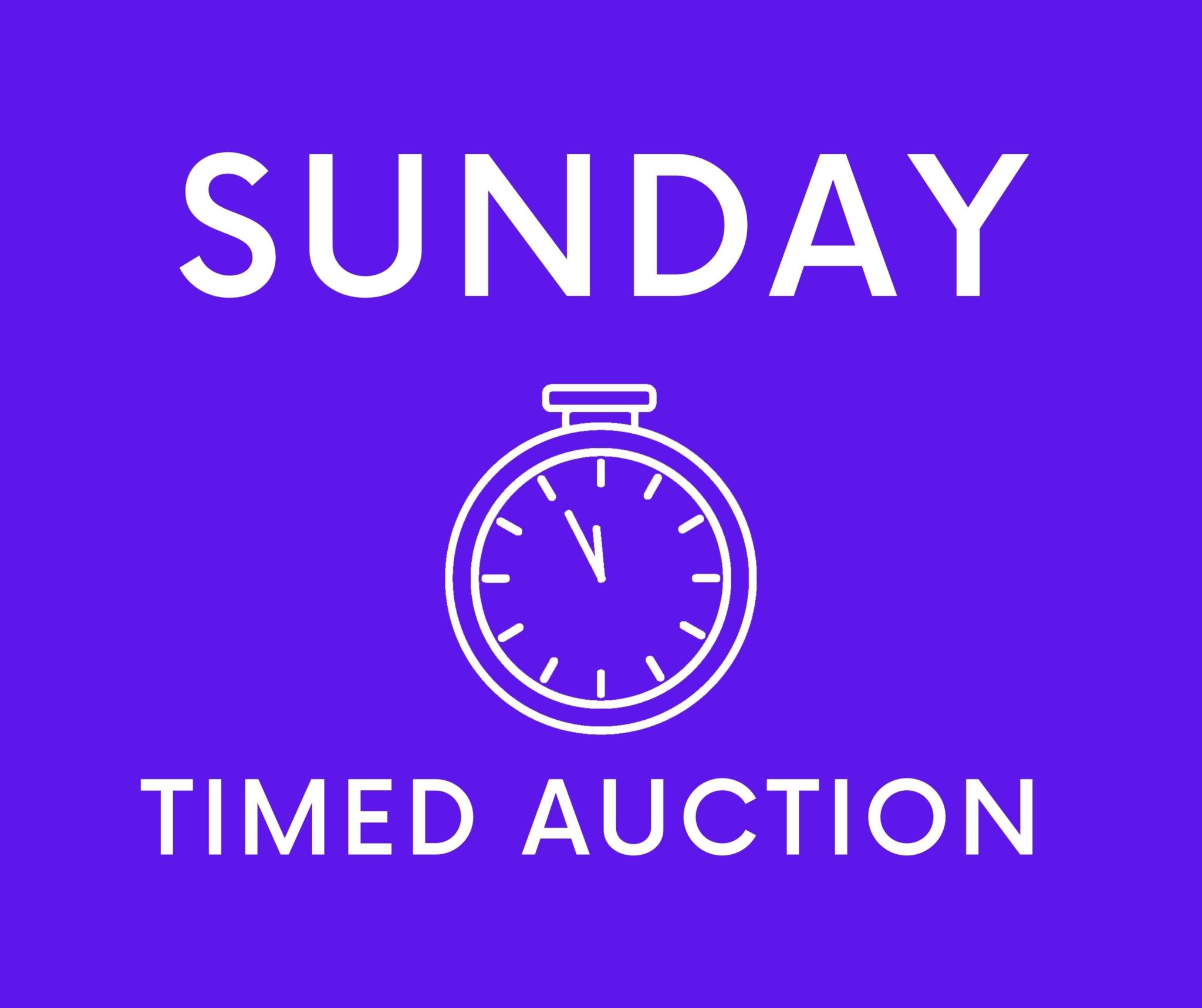 Copy of Timed Auction scaled