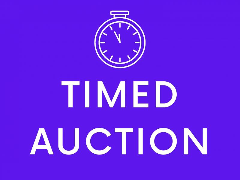 Timed Auction Logo Wellers Auctions