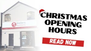 Christmas Opening Hours