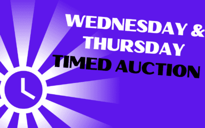 Festive Period Timed Auctions