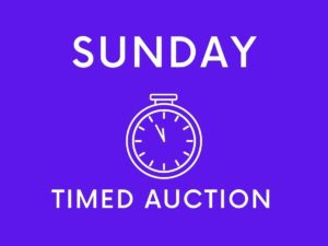 Copy of Copy of Copy of Copy of Copy of Timed Auction Wellers Auctions