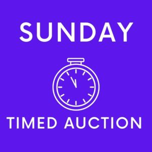 Copy of Copy of Copy of Copy of Copy of Timed Auction Wellers Auctions