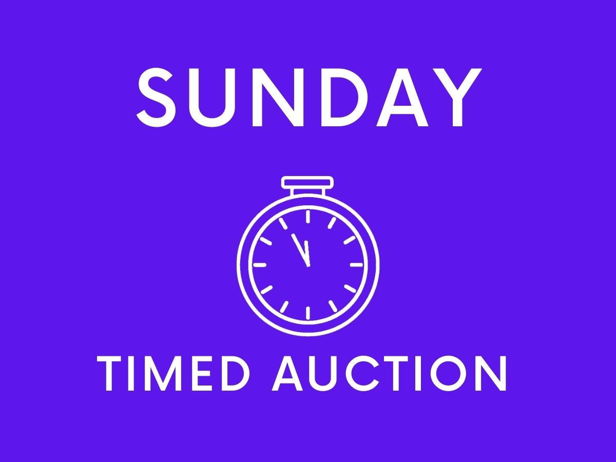 Copy of Copy of Copy of Copy of Copy of Timed Auction