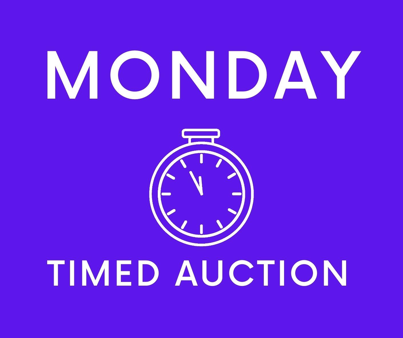 Copy of Copy of Timed Auction 1
