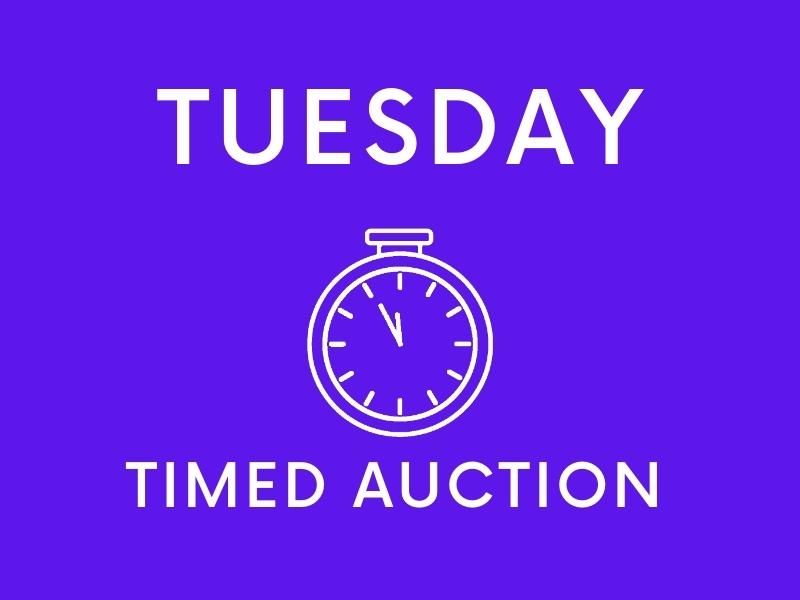 Copy of Copy of Copy of Copy of Copy of Copy of Copy of Timed Auction 2