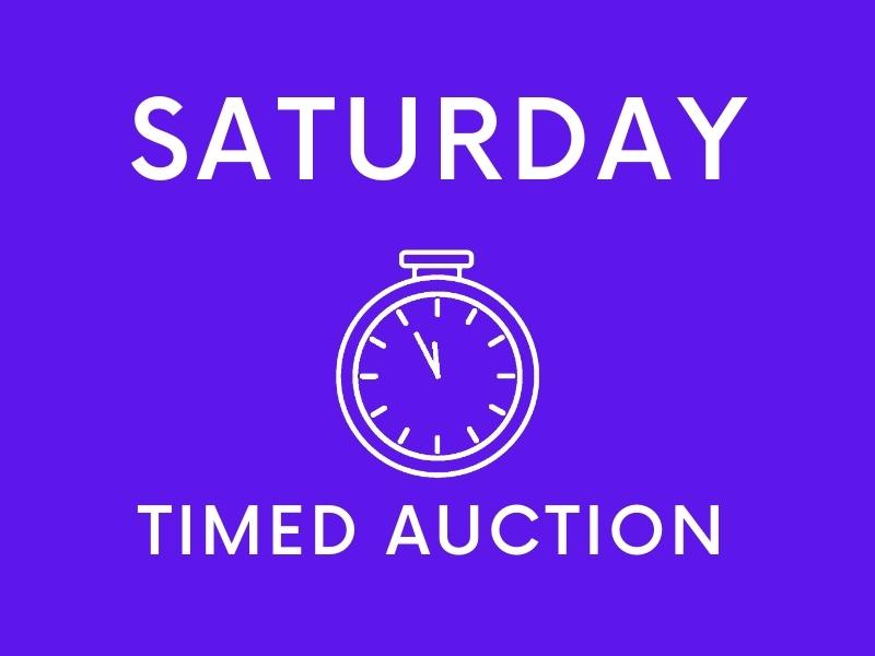 Copy of Copy of Copy of Copy of Copy of Copy of Timed Auction 3