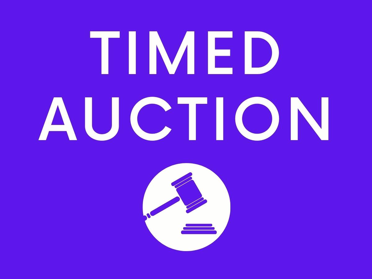 Auction of Unreserved Wood, Vinyl & Laminate Flooring on behalf of Carpetright Ltd, RRP over £40k! 7 Copy of Excess Baggage Monday Timed Auction Logo 1