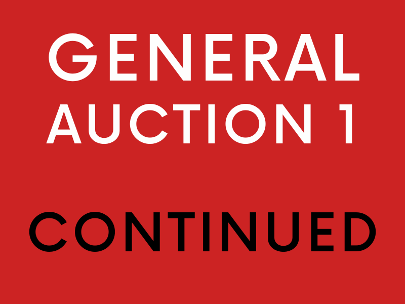 Copy of Excess Baggage Monday Timed Auction Logo