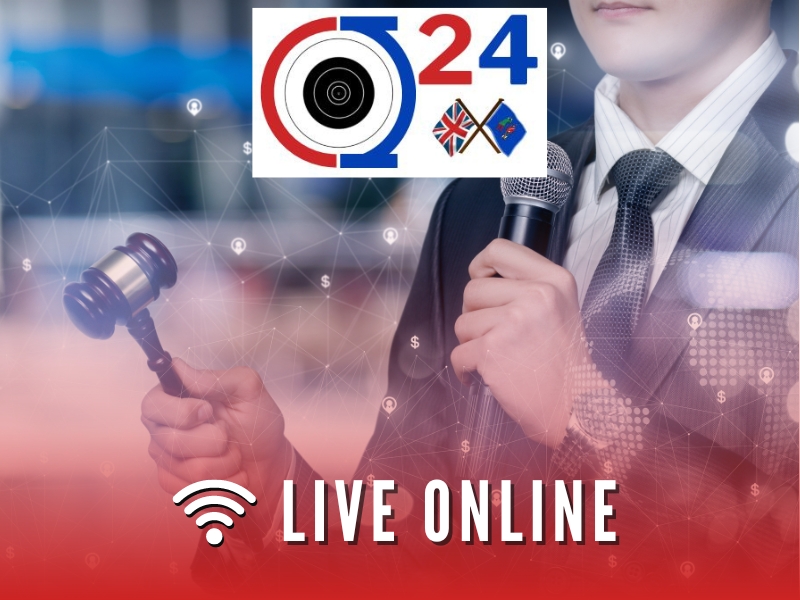 Live Auction Icons 5