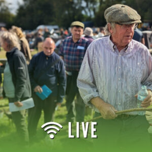 Farm Auction Icons 6