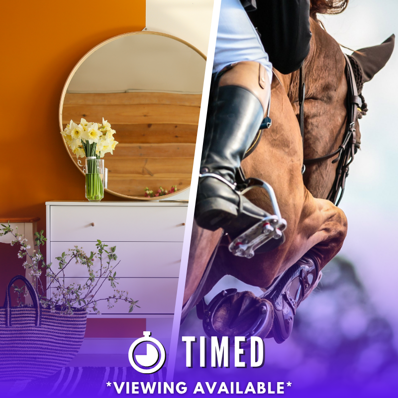 Timed Auction Icons 52