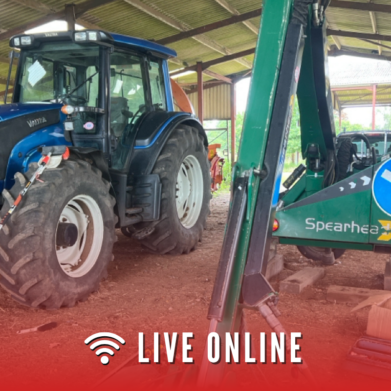 Live Auction Icons 11