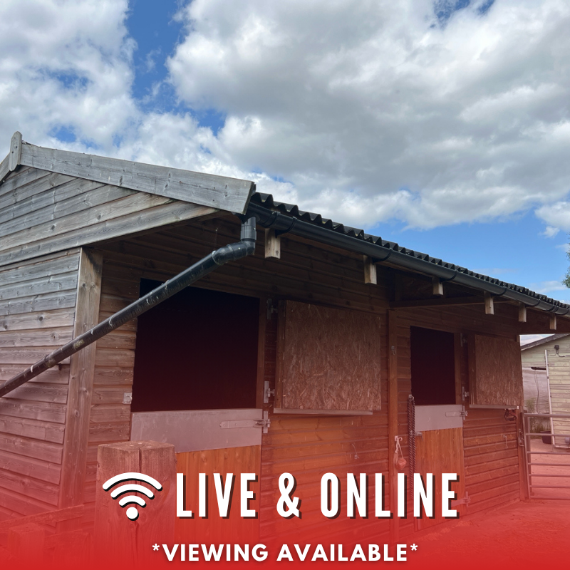 Live Auction Icons 1