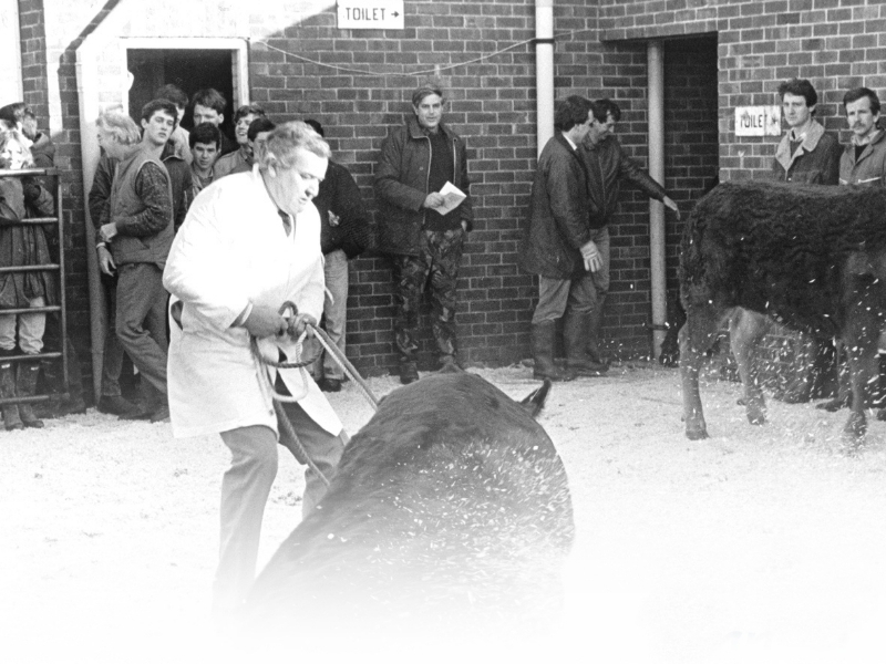 Website Department Images 23