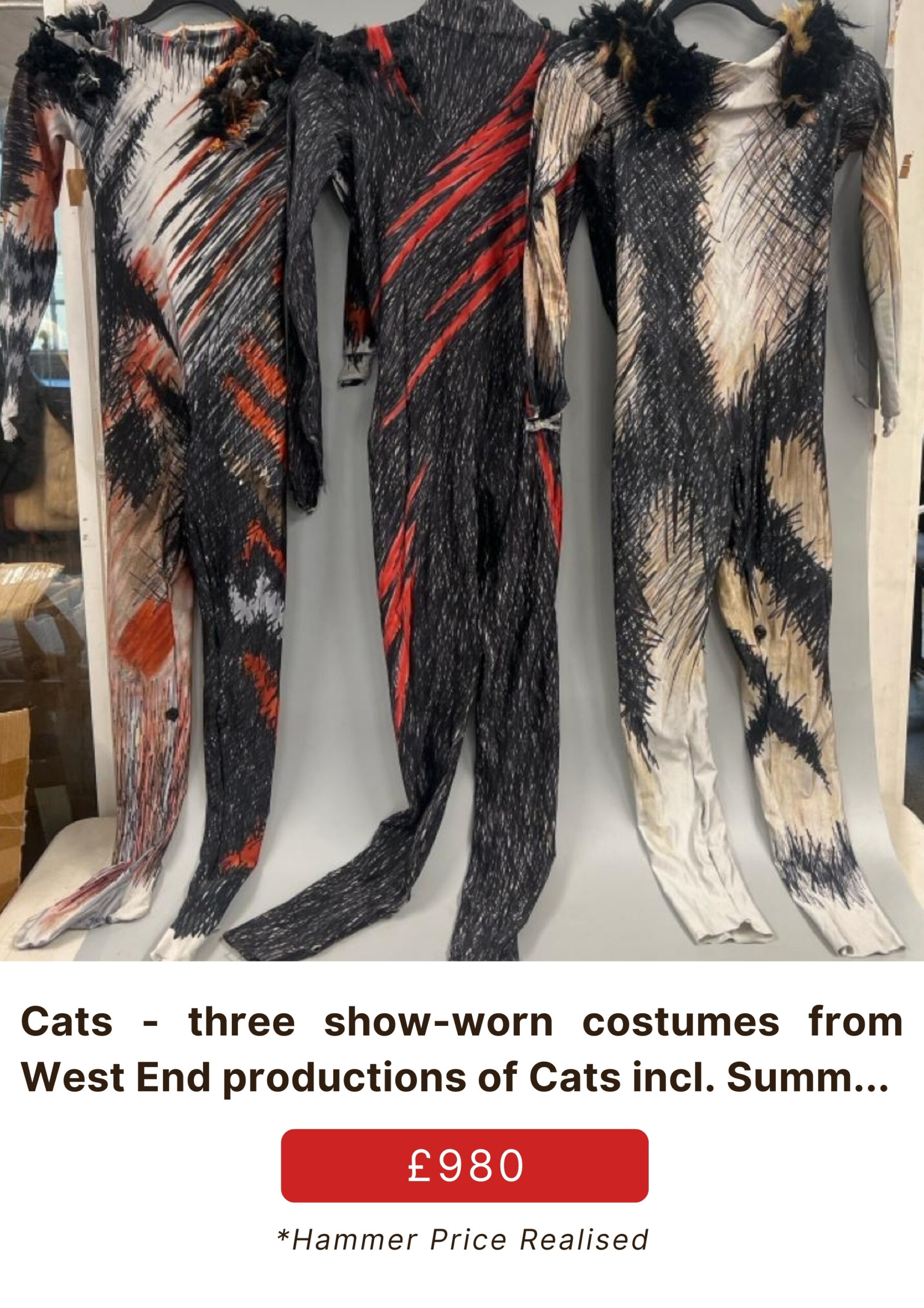 Cats Show Worn Costumes scaled